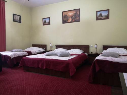 Hostal Villa Casa Ioana