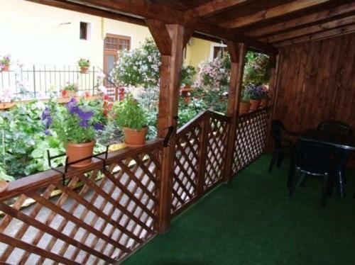 Hostal Villa Casa Ioana