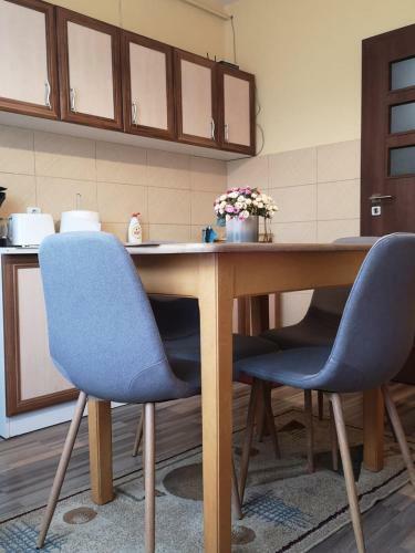 Hostal Villa Casa Ioana