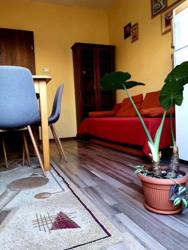 Hostal Villa Casa Ioana
