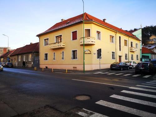 Hostal Villa Casa Ioana