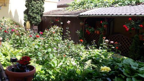Hostal Villa Casa Ioana