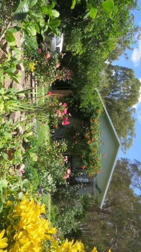 Agroturismo Mimirosa Bush Cabin