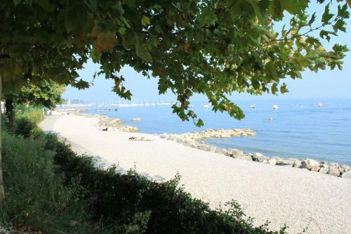 Viviendas Turisticas Camping Piantelle