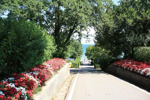 Viviendas Turisticas Camping Piantelle