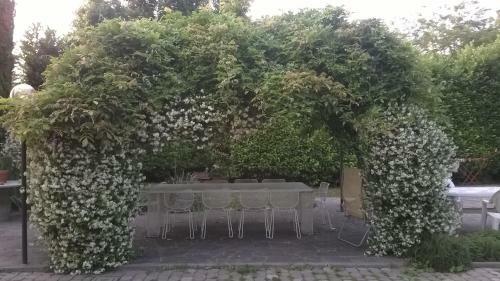 Bed & Breakfast Il Mulino Del Borgo