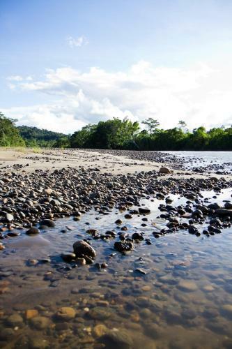 Lodge Isla Ecologica Mariana Miller