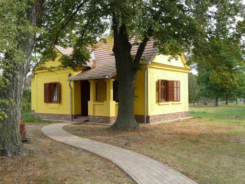 M�rfi Vend�gh�z