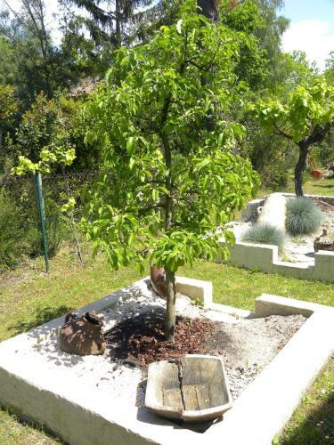 Bed & Breakfast La Villa Mogador