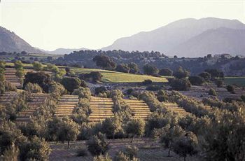 Agroturismo El Geco Verde