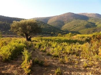 Agroturismo Finca Segur�