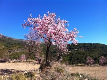 Agroturismo Finca Segur�