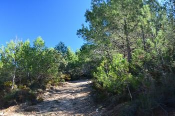 Agroturismo Finca Segur�