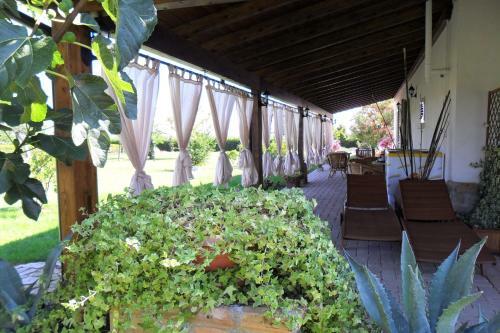 Agroturismo Domus Aurea