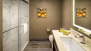 Hotel Double Tree By Hilton Toronto Aiport