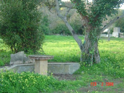 Bed & Breakfast Quinta Do Scoto