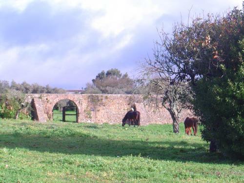 Bed & Breakfast Quinta Do Scoto