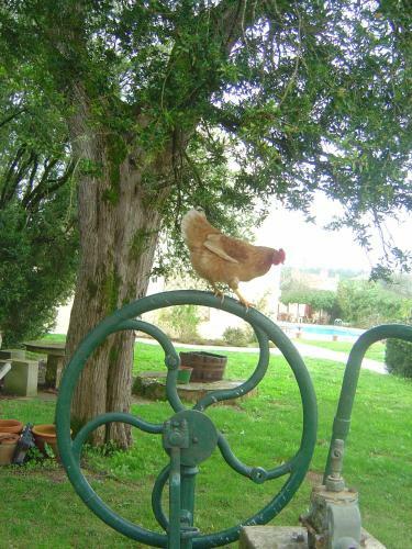 Bed & Breakfast Quinta Do Scoto