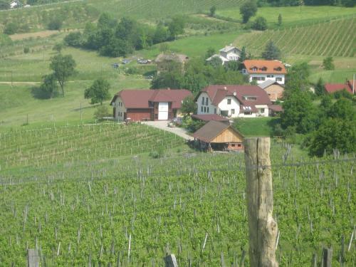 Hostal Tourist Farm Joannes