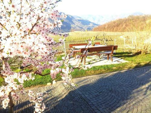 Hostal Hotel Pension Weingut
