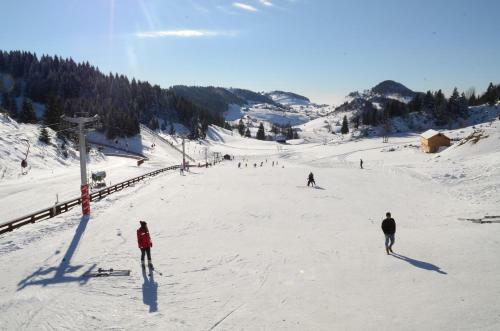 Hotel Cheile Gradistei Fundata Resort & Spa
