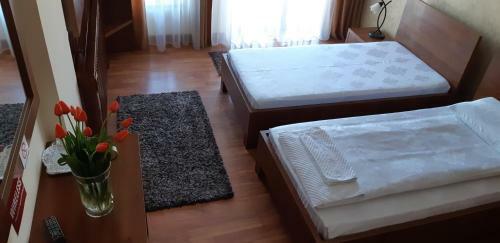 Bed & Breakfast Pensiunea Normandia