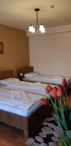 Bed & Breakfast Pensiunea Normandia