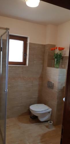 Bed & Breakfast Pensiunea Normandia