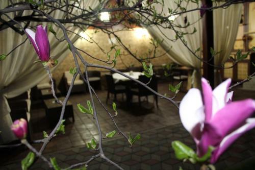 Bed & Breakfast Pensiunea Normandia