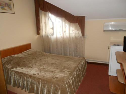 Hostal Pensiunea Turistica Europa