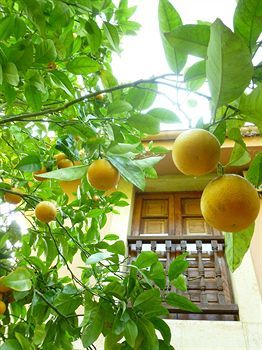 Agroturismo Hotel Rural La Balconada