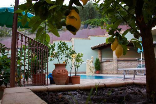 Bed & Breakfast Villa Cristina