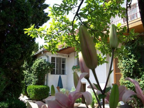 Hostal Pensiunea Magnolia