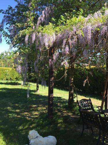 Agroturismo Casona Rural Los Trobos