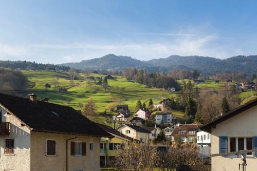 Superior Apartment Sarnen