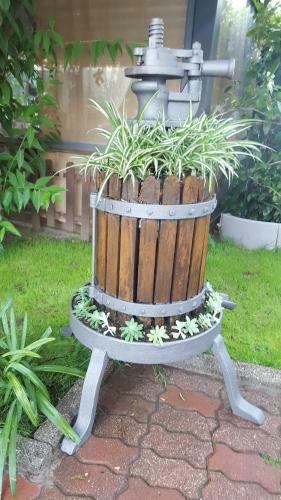 B&B Il Giardino In Citt�