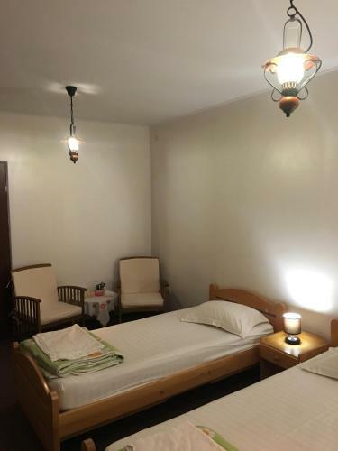 Hostel Mara