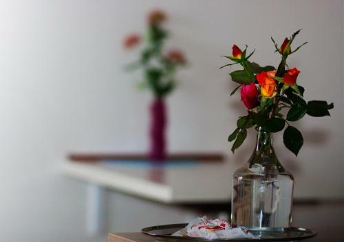 Apartamenty Lila