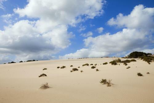 Hotel Le Dune