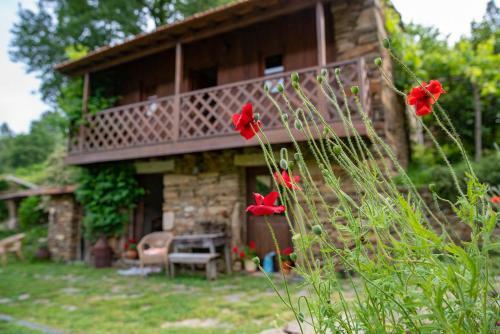 Agroturismo Quinta Da Raba�osa - Turismo Rural