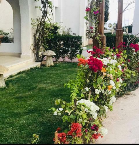 Two-bedroom Villa Unit 8149 - Naama Bay