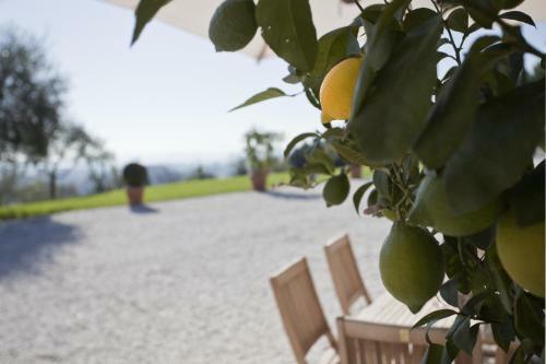 Apartamento Relais Villa Belvedere