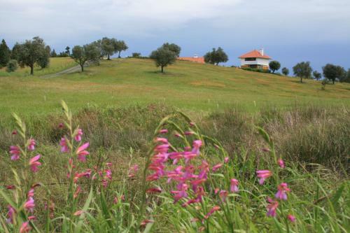 Villa O Vale Da Mudan�a