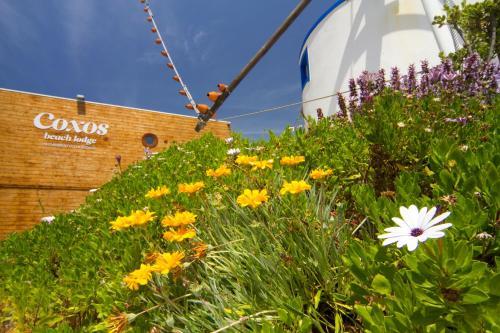Apartamento Coxos Beach Lodge