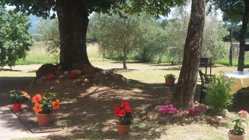 Bed & Breakfast Azzurre Beb