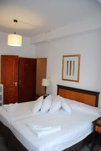 Hotel Litovoi Central