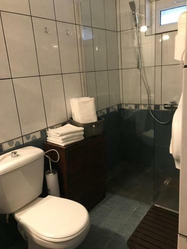 Hostal Pensiunea Cerbul Carpatin