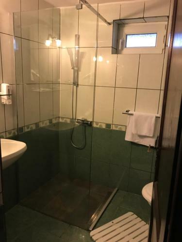 Hostal Pensiunea Cerbul Carpatin