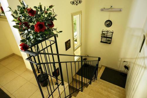 Hapina-shel-michal Hotel