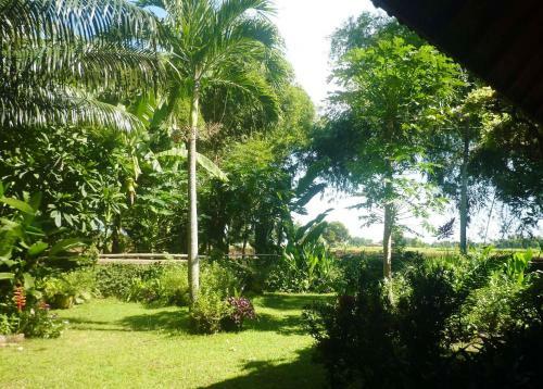 Hostal Saraswati Holiday House